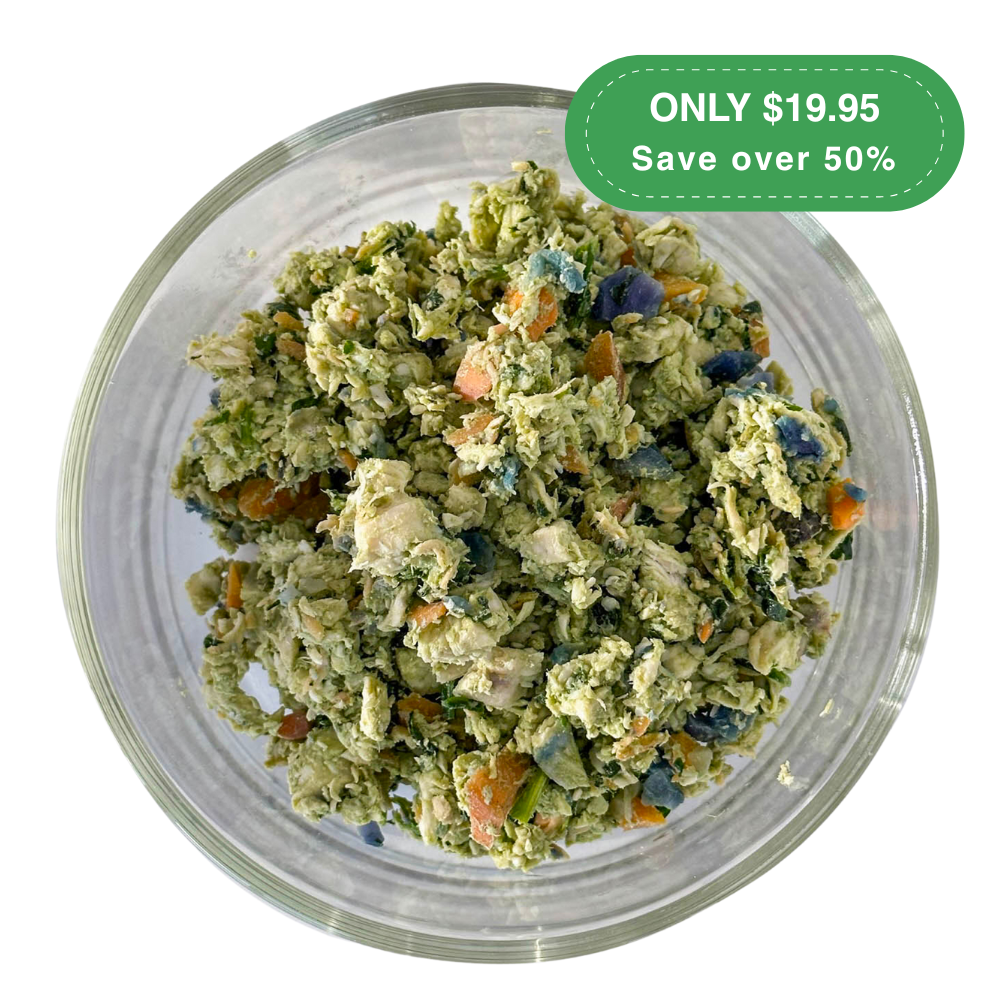 Chicken Dish with Salmon - Starter Pack (2 Packs)