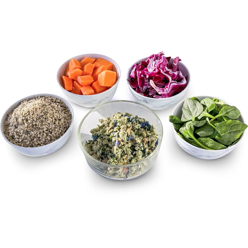 Chicken Dish with Salmon - Starter Pack (3 Packs)