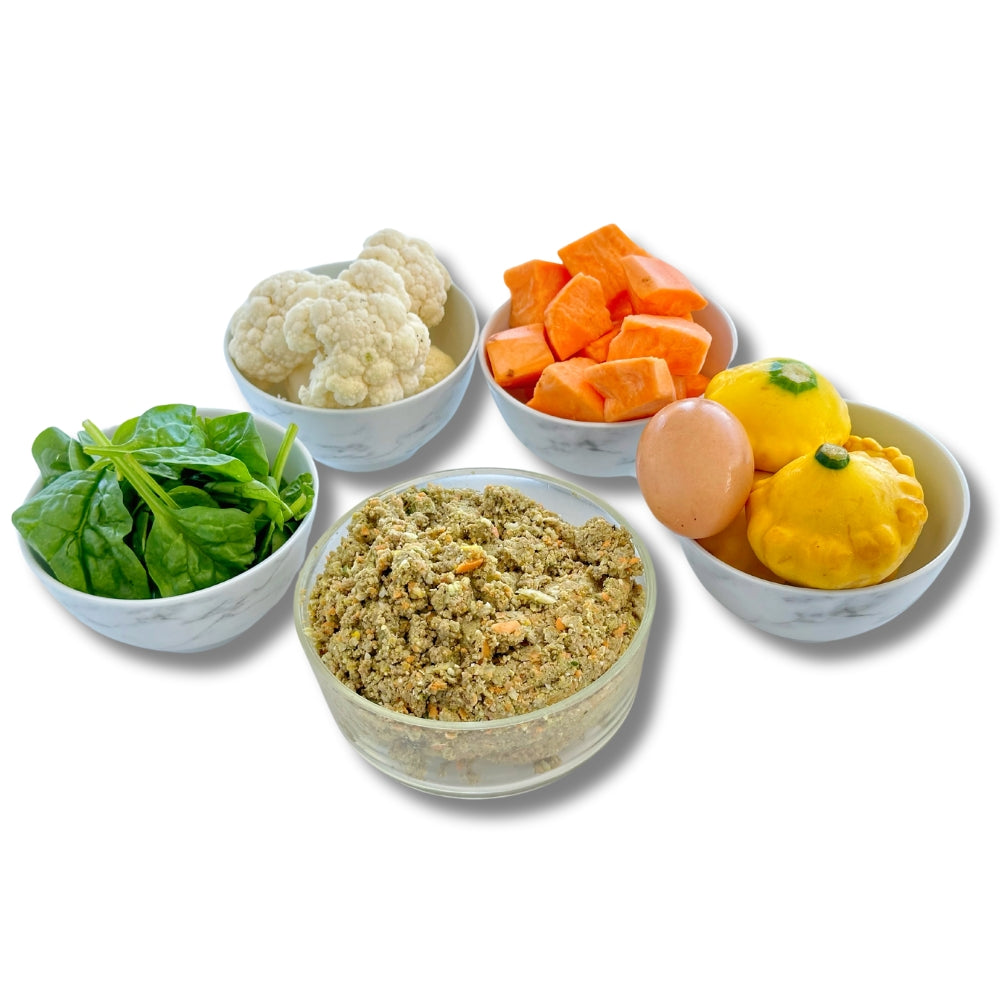 Beef Dish with Squash - Starter Pack (2 Packs)