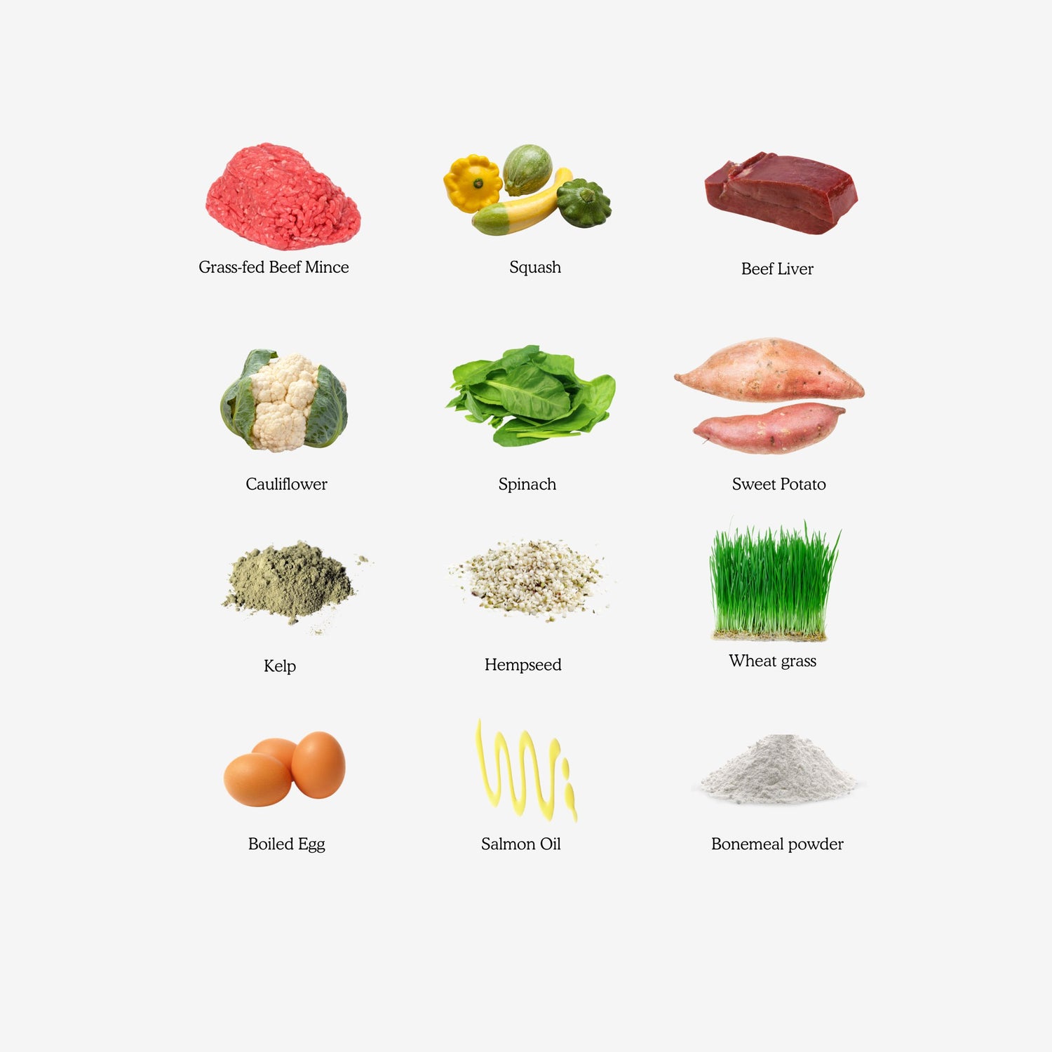 Beef Ingredients