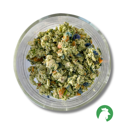 Chicken Dish with Salmon (10 Packs)