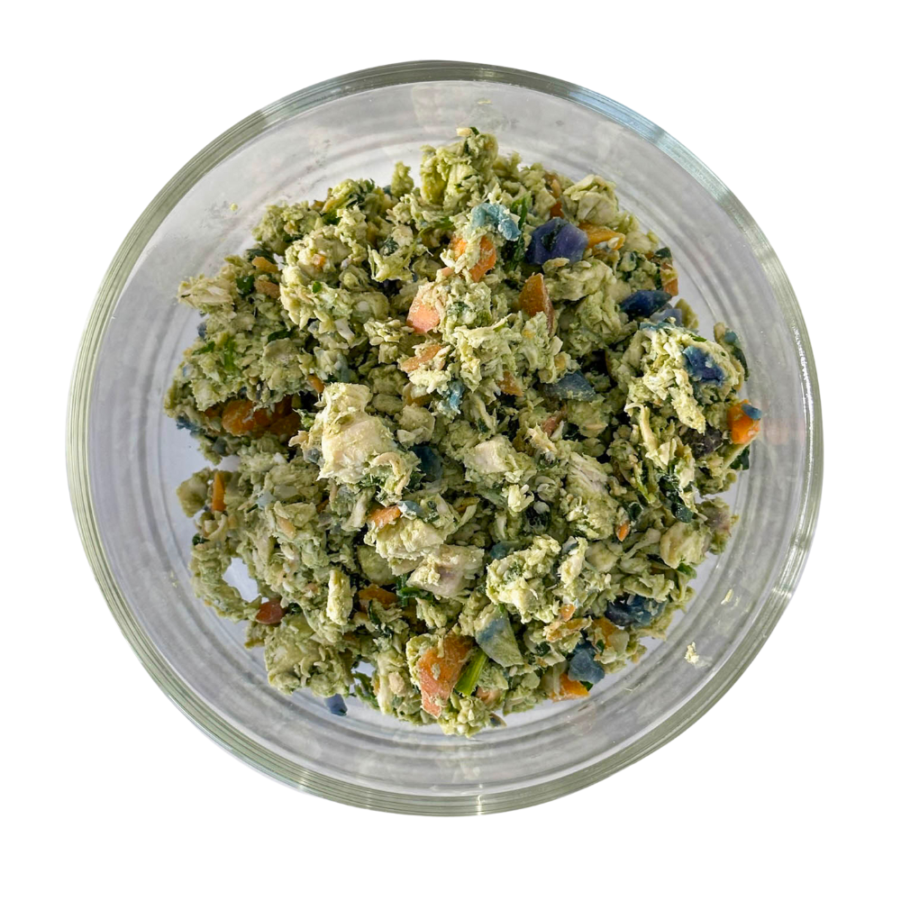 Chicken Dish with Salmon - Starter Pack (2 Packs)